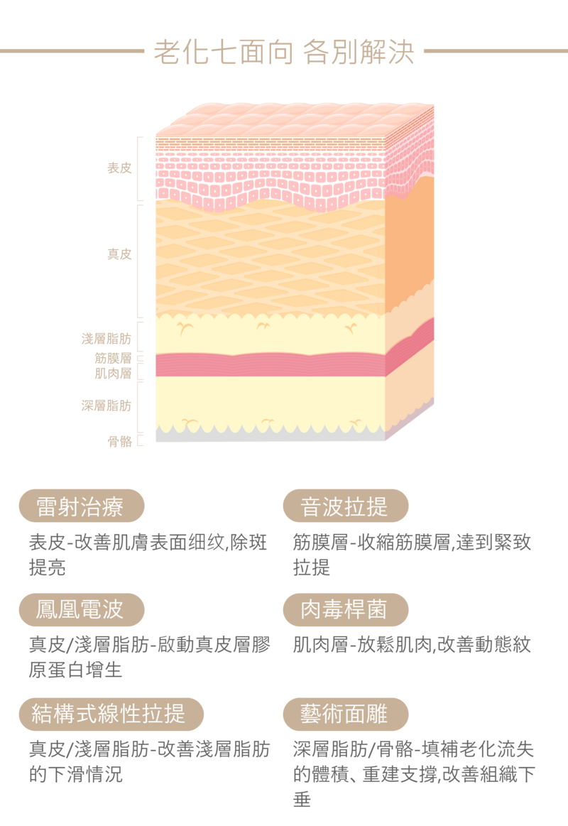 有效活化脂肪幹細胞與刺激纖維母細胞,進一步促進四型膠原蛋白與彈力蛋白的大量生成