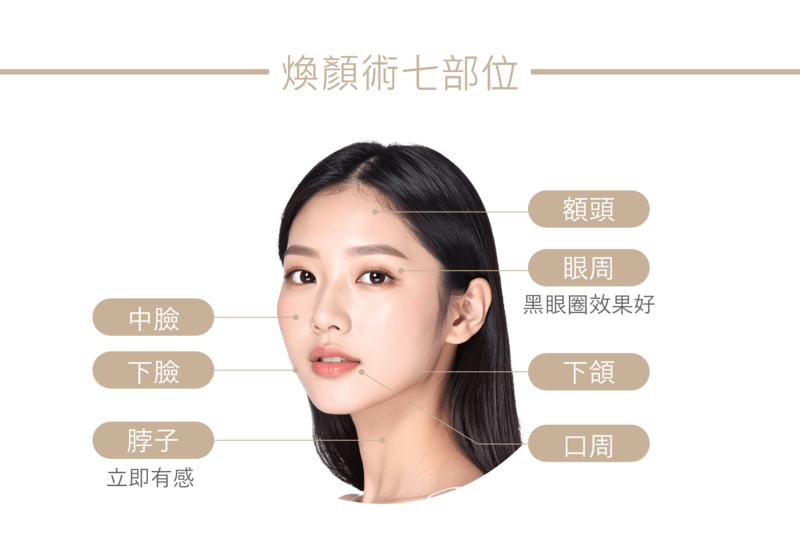 有效活化脂肪幹細胞與刺激纖維母細胞,進一步促進四型膠原蛋白與彈力蛋白的大量生成