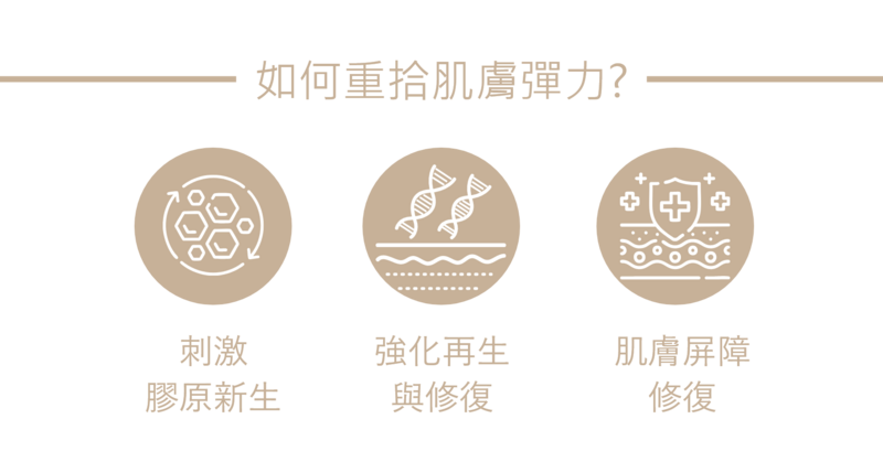 有效活化脂肪幹細胞與刺激纖維母細胞,進一步促進四型膠原蛋白與彈力蛋白的大量生成