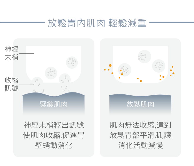 人體會因飢餓而有進食慾望的生理機制，是因為神經末梢釋出訊號使肌肉收縮，促進胃壁消化蠕動；在胃內肌肉施打肉毒桿菌，使肌肉無法收縮，達到放鬆胃部平滑肌，讓消化活動減慢，進而延遲身體產生飢餓感的時間，減緩飢餓感讓飲食控制較易達成。