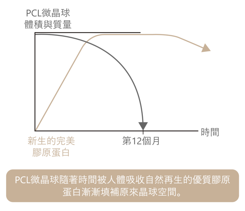 ELLANSÉ洢蓮絲所含的PCL微晶球，除了在術後讓肌膚飽滿以外，因其刺激膠原蛋白增生的後續效果，即便PCL微晶球隨人體代謝而流失，新生的膠原蛋白也會持續支撐皮膚，讓面部能夠維持較長期間的彈性與膨潤。