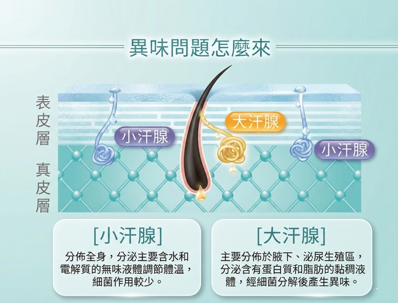 狐臭怎麼來?光澤診所告訴你推薦最有利療程