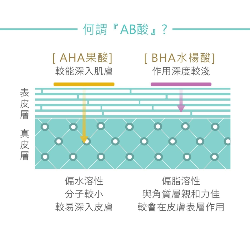 AHA(果酸)偏水溶性，分子較小且較易深入皮膚，能以和緩的方式將皮膚最外層的老廢角質代謝，取代保養中去角質的程序，並有效防止毛孔阻塞；BHA(水楊酸)偏脂溶性，與角質層親和力佳，教會在皮膚表層作用，除了會溶解小顆的粉刺以外，還會調控皮脂腺活性，使整體泌油量下降。