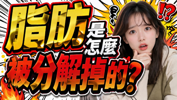 脂肪是怎麼被分解掉的？從溫度說起，你才看得懂超微波在做什麼