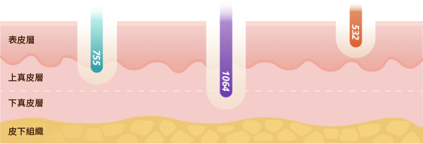 755波長用於淡化黑色素、斑點、改善膚色不均；1064波長可縮小毛孔、淡化細紋；532波長除微血管紅色素，亮白肌膚。